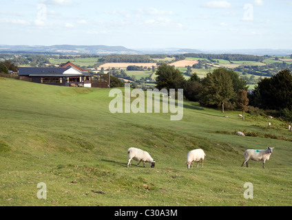 Kington Golf Club, Bradnor Hill, Herefordshire Foto Stock
