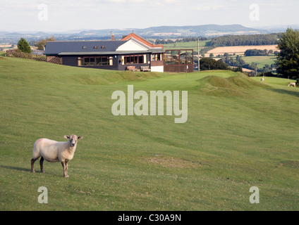 Kington Golf Club, Bradnor Hill, Kington Foto Stock