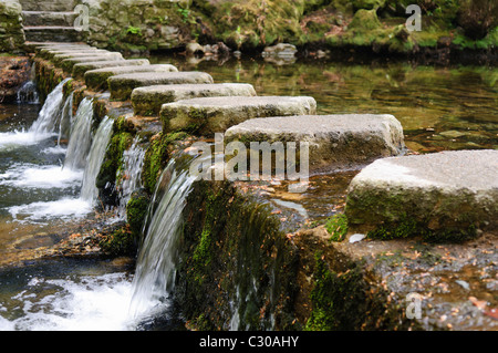 Pietre miliari sul fiume Shimna, Tollymore Forest Park, Newcastle, Irlanda del Nord, presentato nel gioco di Troni Foto Stock