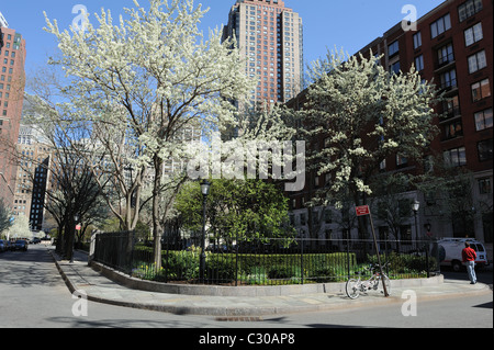 Rettore luogo in Battery Park City, un quartiere di palazzi, edifici per uffici e parchi di Lower Manhattan. Foto Stock