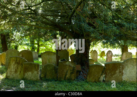 Cimitero di boschiva al XI secolo la chiesa di San Nicola, Oddington vicino a Stow on the Wold, Gloucestershire Foto Stock