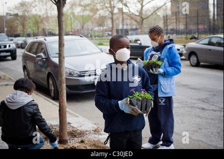 I bambini partecipano in pulito fino al giorno in Harlem Foto Stock