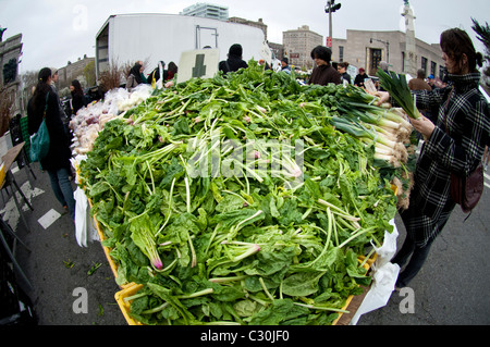 Gli spinaci a agricoltori' stand in Grand Army Plaza Greenmarket a Park Slope di Brooklyn a New York Foto Stock