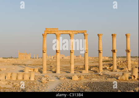 Palmyra. La Siria. Vista di un pilastro che una linea secondaria strada colonnato che ha portato alla piazza dalla forma ovale e porta di Damasco Foto Stock