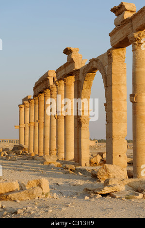 Palmyra. La Siria. Vista di alcuni dei pilastri e dei portici che la linea della sezione superiore del grande colonnato Street. Foto Stock