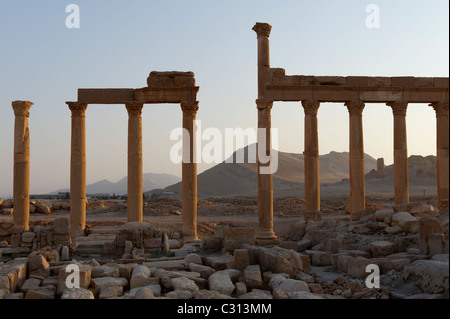 Palmyra. La Siria. Vista di alcuni dei pilastri e dei portici che la linea della sezione superiore del grande colonnato Street. Foto Stock