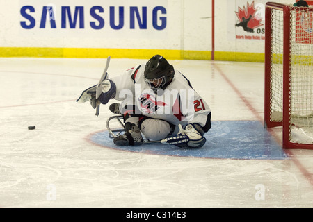 Immagini dalla medaglia di bronzo gioco al 2011 International Sledge Hockey Challenge. Foto Stock