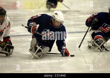 Immagini dalla medaglia di bronzo gioco al 2011 International Sledge Hockey Challenge. Foto Stock