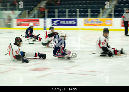 Immagini dalla medaglia di bronzo gioco al 2011 International Sledge Hockey Challenge. Foto Stock