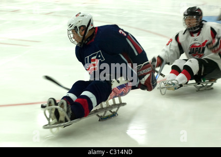 Immagini dalla medaglia di bronzo gioco al 2011 International Sledge Hockey Challenge. Foto Stock