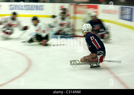 Immagini dalla medaglia di bronzo gioco al 2011 International Sledge Hockey Challenge. Foto Stock