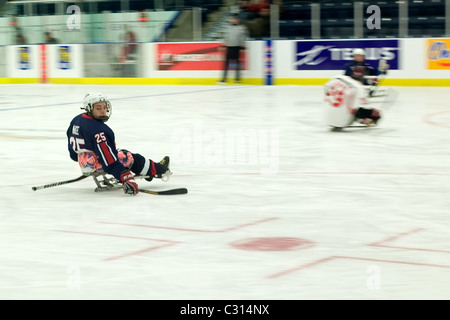 Immagini dalla medaglia di bronzo gioco al 2011 International Sledge Hockey Challenge. Foto Stock