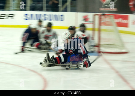 Immagini dalla medaglia di bronzo gioco al 2011 International Sledge Hockey Challenge. Foto Stock