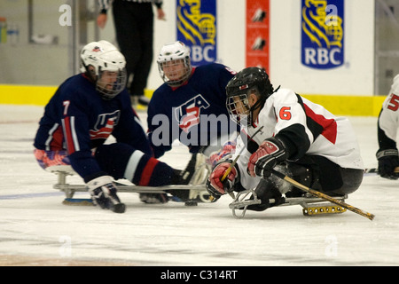 Immagini dalla medaglia di bronzo gioco al 2011 International Sledge Hockey Challenge. Foto Stock