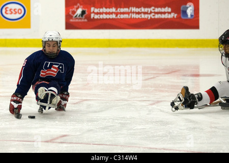 Immagini dalla medaglia di bronzo gioco al 2011 International Sledge Hockey Challenge. Foto Stock