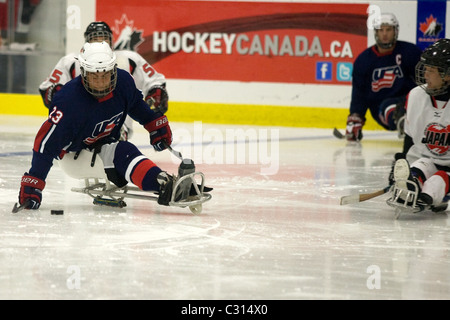 Immagini dalla medaglia di bronzo gioco al 2011 International Sledge Hockey Challenge. Foto Stock