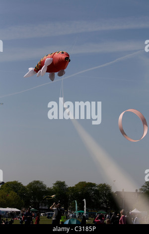 Un grande letto a forma di pesce kite in distanza a Streatham Park famiglia kite giorno. Foto Stock