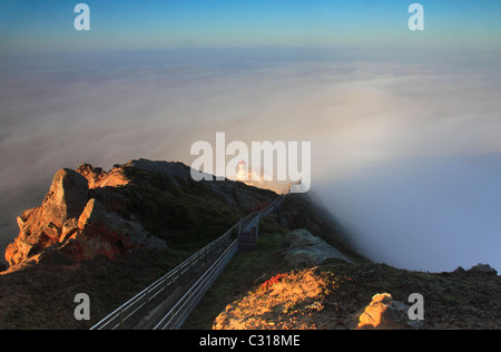 Sunrise nebbia oltre Oceano Pacifico presso il Pt. Reyes Lighthouse, Pt. Reyes National Seashore, CALIFORNIA, STATI UNITI D'AMERICA Foto Stock