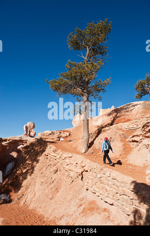 Escursionista femmina su SCENIC Queens Garden Trail, parco nazionale di Bryce Canyon, Utah, Stati Uniti d'America Foto Stock