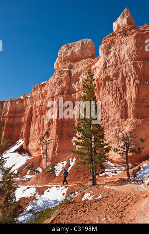 Escursionista femmina su SCENIC Queens Garden Trail, parco nazionale di Bryce Canyon, Utah, Stati Uniti d'America Foto Stock