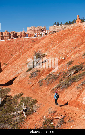 Escursionista femmina su SCENIC Queens Garden Trail, parco nazionale di Bryce Canyon, Utah, Stati Uniti d'America Foto Stock