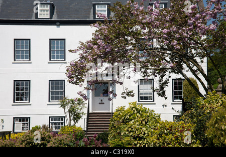 Fiore di Ciliegio albero a Donkey Sanctuary Sidmouth Foto Stock
