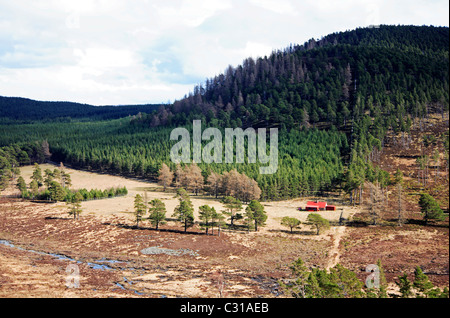 Una vista verso Felagie dal lato di Craig Porro sulla rupe Keiloch circolare a piedi vicino a Braemar, Aberdeenshire, Scotland, Regno Unito. Foto Stock