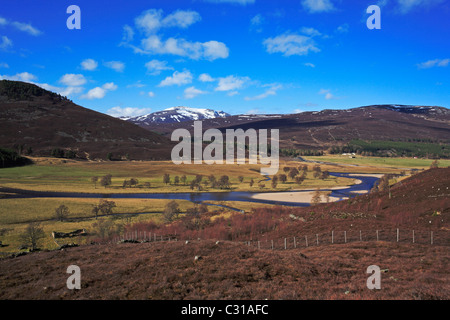 Una vista attraverso la Dee Valley verso il Linn di Quoich vicino a Braemar, Aberdeenshire, Scotland, Regno Unito. Foto Stock