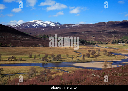 Una vista del fiume Dee verso il Linn di Quoich vicino a Braemar, Aberdeenshire, Scozia, con montagne innevate. Foto Stock