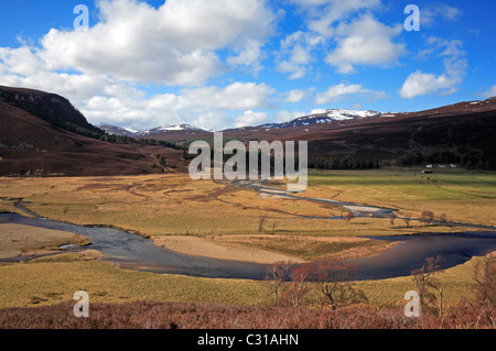 Vista su tutta la pianura alluvionale del fiume Dee verso il Linn di Quoich vicino a Braemar, Aberdeenshire, Scotland, Regno Unito. Foto Stock