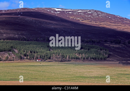 Vista su tutta la valle di Dee ad ovest di Braemar verso Carn na Drochaide, Aberdeenshire, Scotland, Regno Unito. Foto Stock