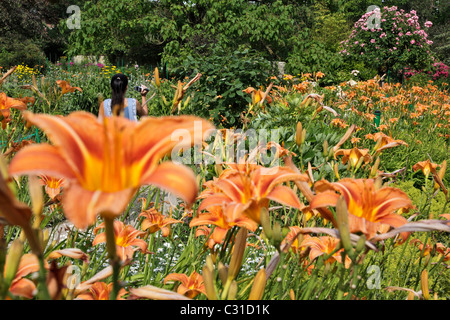 Il percorso del pittore impressionista Claude Monet chiamato giardino CLOS NORMAND, Giverny, Eure (27), Francia Foto Stock