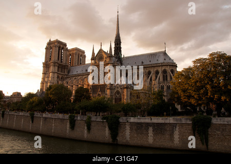 Architettura medievale. Cattedrale di Notre Dame, un capolavoro gotico sulle rive della Senna, nel cuore della capitale francese. Parigi, Francia. Foto Stock