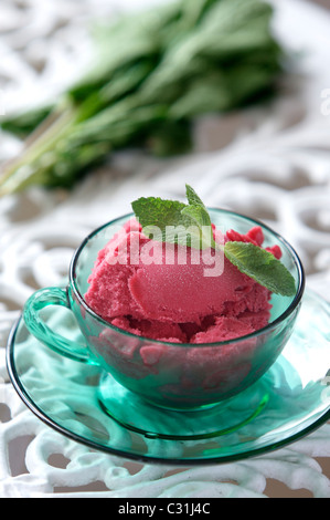 Il sorbetto di lamponi con menta fresca e un mazzetto di menta Foto Stock