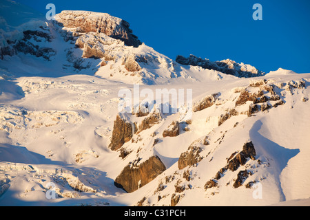 Visualizza il ghiacciaio Nisqually dal Paradiso in Mount Rainier National Park, Washington. Foto Stock