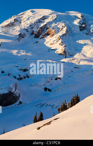 Vista del Monte Rainier attraverso il ghiacciaio Nisqually dal Paradiso in Mount Rainier National Park, Washington. Foto Stock