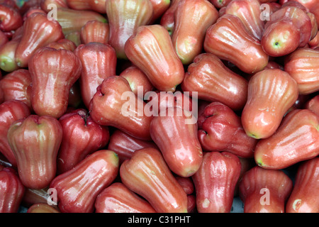 Pressione di stallo di rosa di mele o acqua mele (Syzygium jambos), frutta tropicale, Thailandia, ASIA Foto Stock