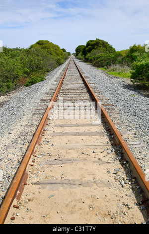 Vecchi binari del treno si trova in Wilder Ranch State Park. Foto Stock