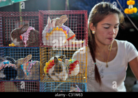 La vendita di conigli nani in costumi, mercato serale, BANG SAPHAN, Thailandia, ASIA Foto Stock