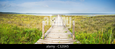 Panoramica, pontile in legno che conduce verso il lago, Catalina Bay, iSimangaliso Wetland Park, Santa Lucia, Kwazulu-Natal, Sud Africa Foto Stock