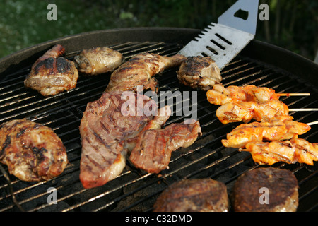 Per barbecue - Selezione di carni Foto Stock