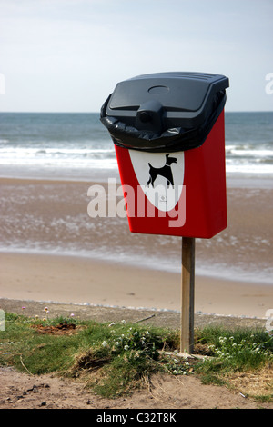 Cane in plastica per lettiera Bin da una spiaggia a San api Cumbria Foto Stock