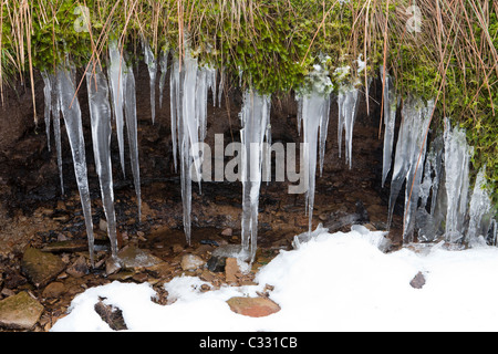 Le cicale formate dall'acqua che si infiltrano fuori dalla brughiera invernale su Allendale Common, Northumberland UK Foto Stock