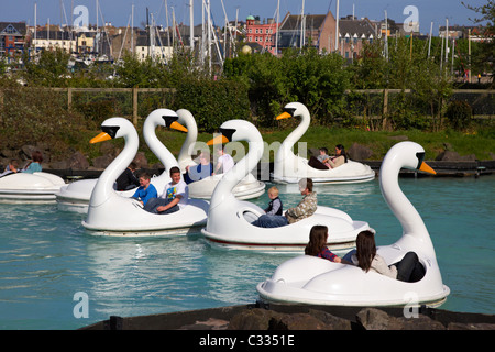 Famiglie la pedalata dei cigni a pickie parco divertimenti per tutta la famiglia a Bangor County Down Irlanda del Nord Regno Unito Foto Stock