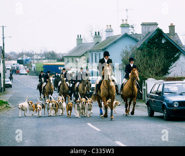 Co Wicklow, Irlanda, il Bray Harriers Foto Stock