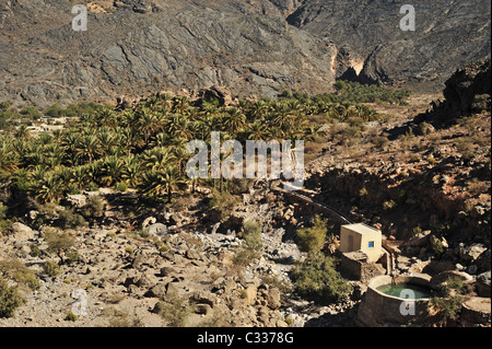 Oman, Hatt, ben e Palm tree piantagioni nel villaggio di Hatt che è situato in corrispondenza del fondo del Wadi Bani AWF Foto Stock