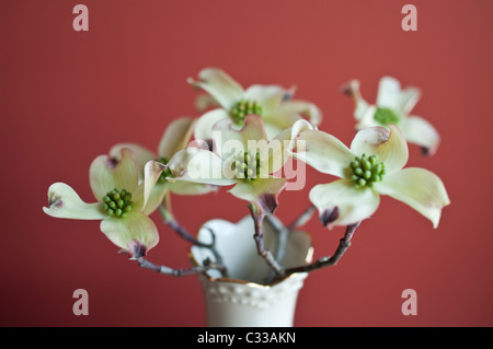 Un bocciolo vaso riempito con fiori di corniolo, un elemento di molla decor. Foto Stock