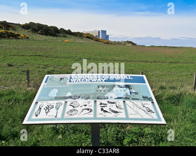 Twin Torness avanzato raffreddati a gas reattore nucleare power station, East Lothian, Scozia - energia atomica da spiaggia Foto Stock