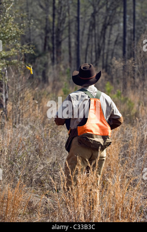 Upland Bird Hunter Gusci di espulsione da una al di sopra e al di sotto di un fucile durante una Bobwhite caccia quaglia in Piney Woods della Georgia Foto Stock