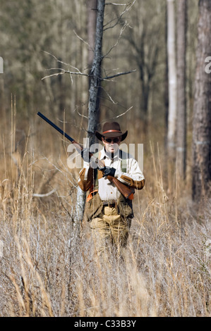 Upland Bird Hunter con una al di sopra e al di sotto di fucile Beretta durante un Bobwhite caccia quaglia in Piney Woods della Georgia Foto Stock